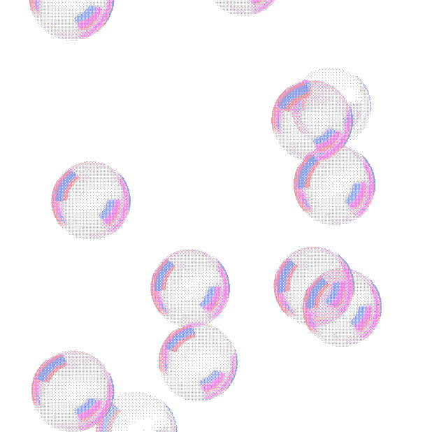 Workshop Animation